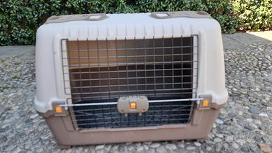  Trasporto  cane per auto 