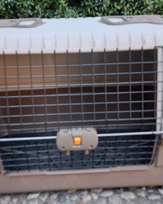  Trasporto  cane per auto 