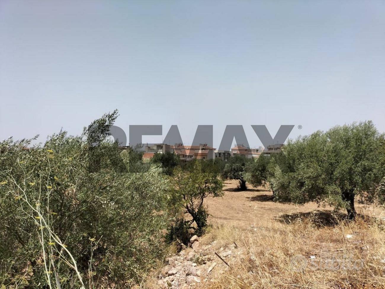 Terreno - Comiso - Vista 5
