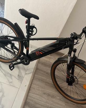 Bici elettrica a pedalata assistita