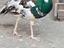 Immagine 1