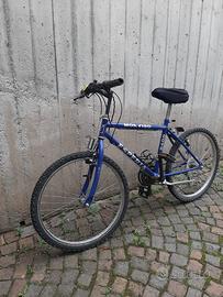 Bici blu
