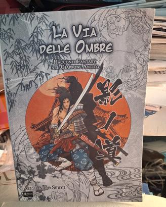 romanzo la via delle ombre