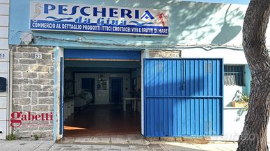 Negozio Santa Teresa Gallura [751VCG]