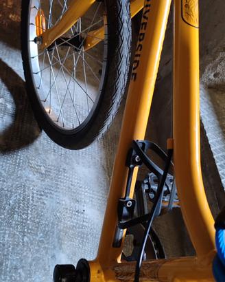 Bici Bimbo 20"