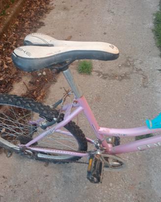Mountain bike