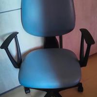 Poltrona Ergonomica