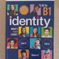 libro di inglese " Identity B1 "