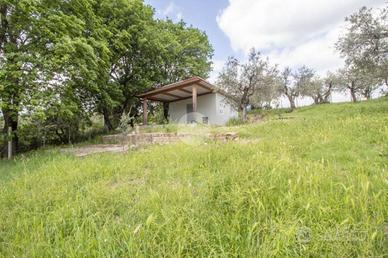 TER. AGRICOLO A PALOMBARA SABINA