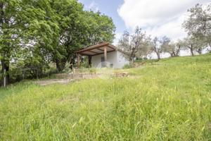 TER. AGRICOLO A PALOMBARA SABINA