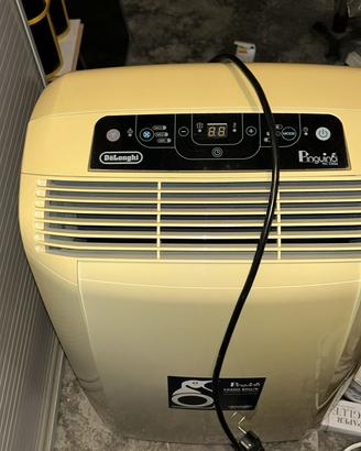 Pinguino DeLonghi