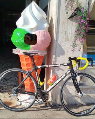 Fondriest domino Carbon
