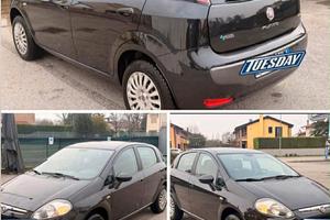 fiat punto evo