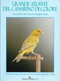 Grande atlante del canarino di colore - Alcedo