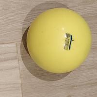 Palla per ginnastica ritmica Pastorelli