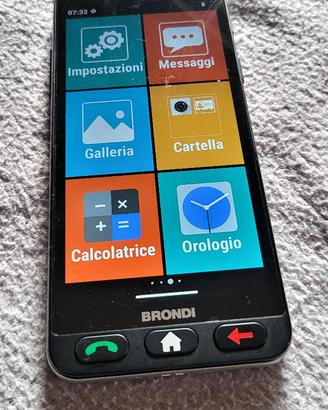 BRONDI AMICO VERO 4G - consegna solo di persona