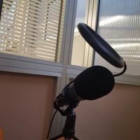 microfono a condensatore 