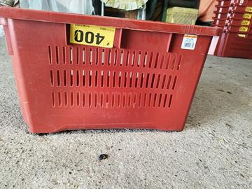 cassette per uva 