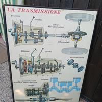 insegna  didattica 