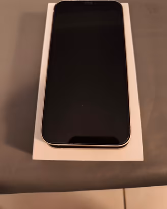 iPhone 12