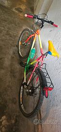 Bicicletta Liberati