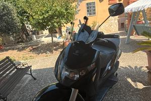 Beverly 250