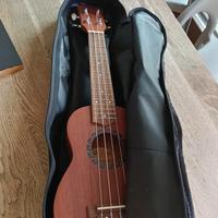 ukulele nuovo