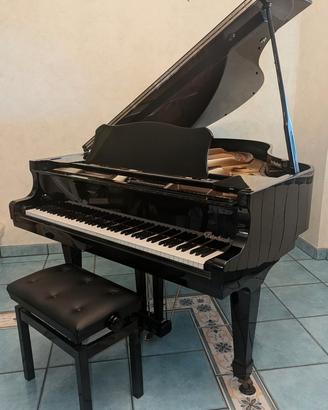 Pianoforte a coda