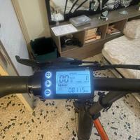 Bicicletta elettrica