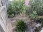 Immagine 19