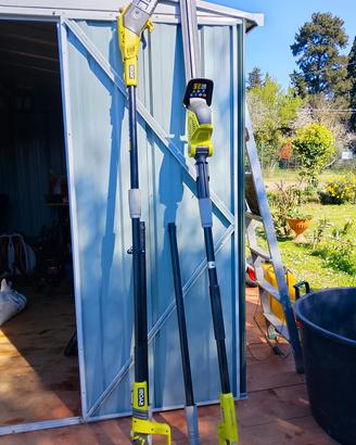 tagliasiepi più potatore 