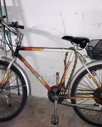 Bicicletta mountain bike Razzo