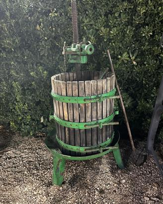 Forata per uva antica