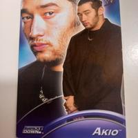 Carta Collezionabile WWE Topps 2004 - Akio (S4)