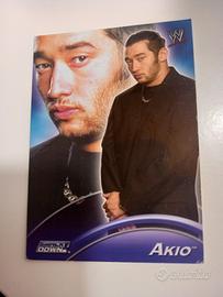Carta Collezionabile WWE Topps 2004 - Akio (S4)