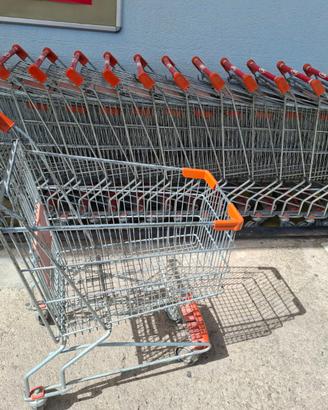 Carrello spesa
