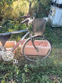 bicicletta 