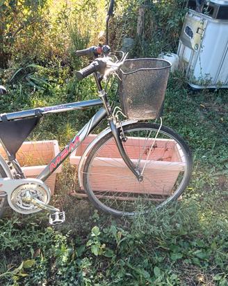 bicicletta 