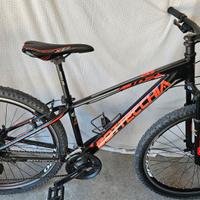 MTB Bottecchia 107 27" S
