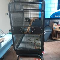 gabbia per pappagalli 