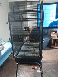 gabbia per pappagalli 