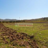 CROCCI-Terreno di 22.000mq ca. edificabile 220mq