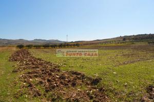 CROCCI-Terreno di 22.000mq ca. edificabile 220mq