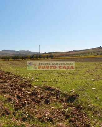 CROCCI-Terreno di 22.000mq ca. edificabile 220mq