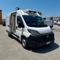 FIAT DUCATO MAXI 2.3mjt 140cv L2H2 FRIGO FRC