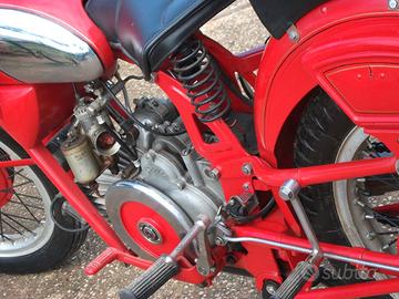 Moto Guzzi Altro modello - 1953