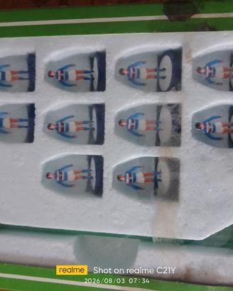 subbuteo lw