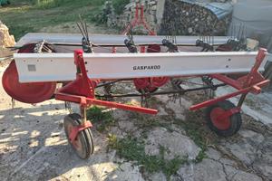 Ranghinatore gaspardo