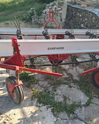 Ranghinatore gaspardo