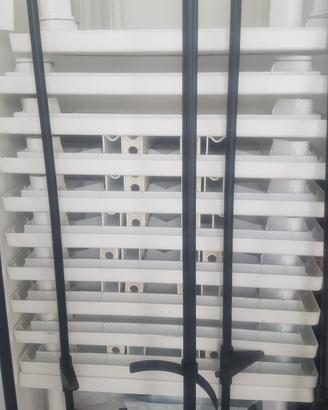 TAVOLI BIANCHI CON SEDIE  IN PLASTICA DURA